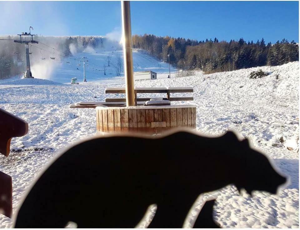 Pensjonat Laworta Ski 우스트르치키 돌네 외부 사진